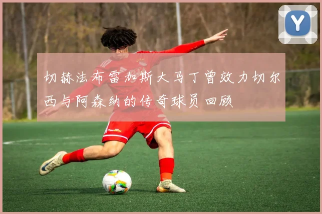 切赫法布雷加斯大马丁曾效力切尔西与阿森纳的传奇球员回顾